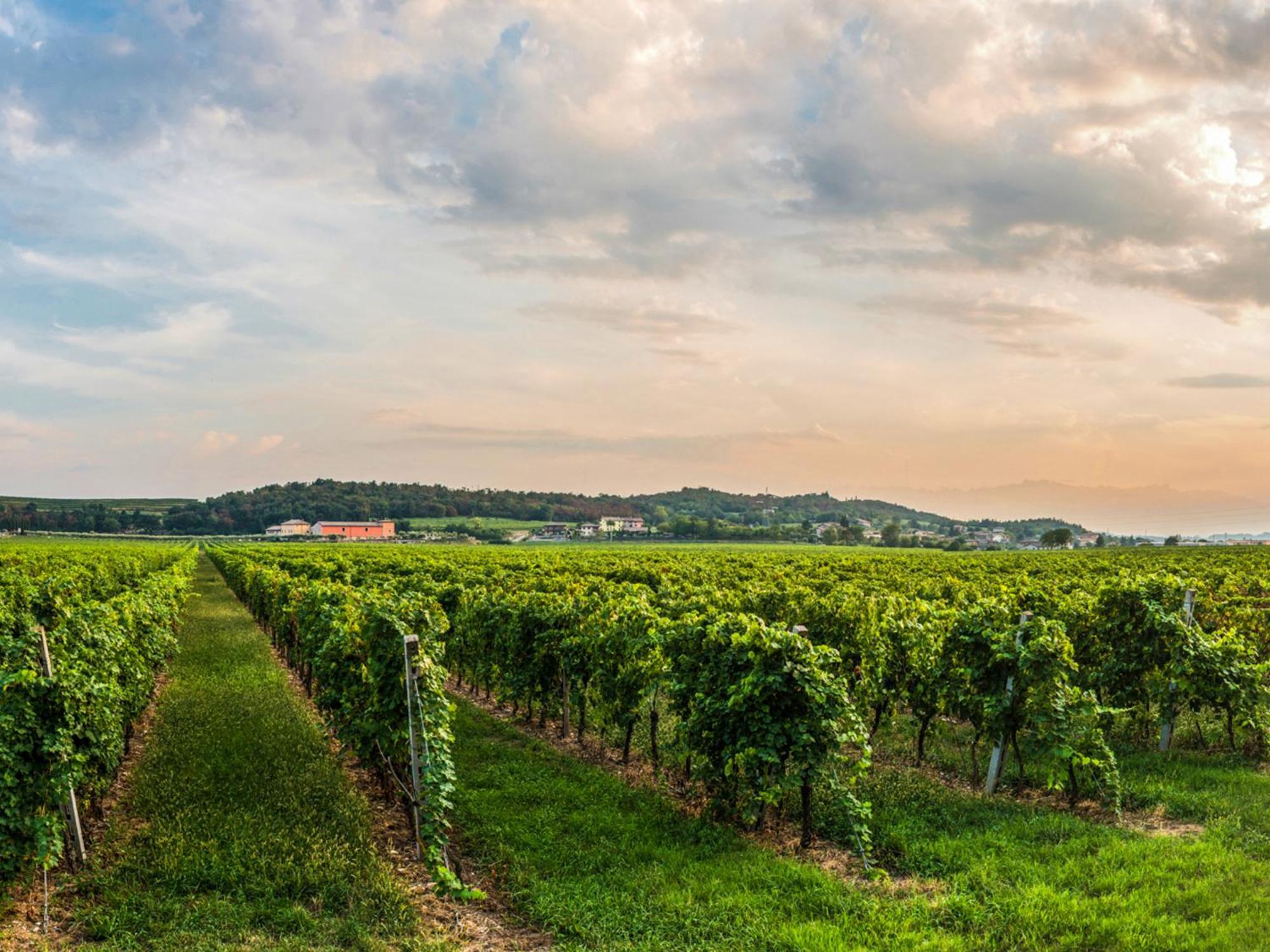 Tenuta La Presa Caprino Veronese Exterior foto